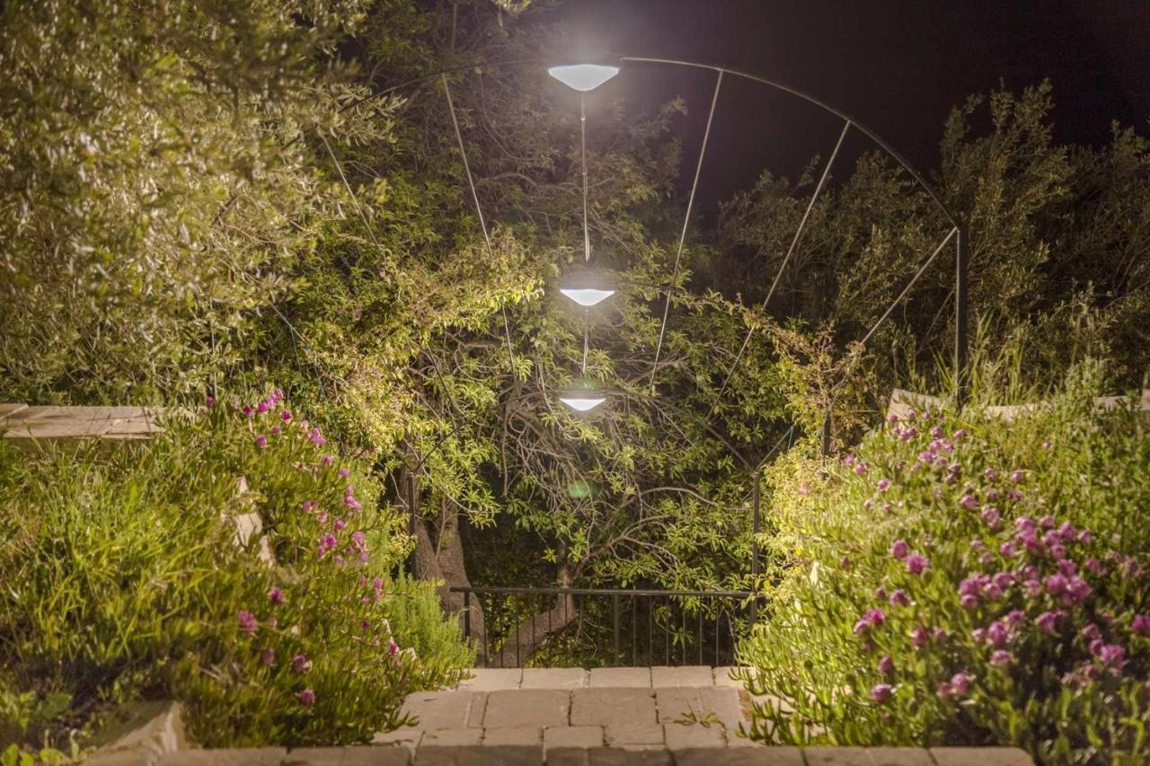 Tenuta Olive Alive نوتو المظهر الخارجي الصورة