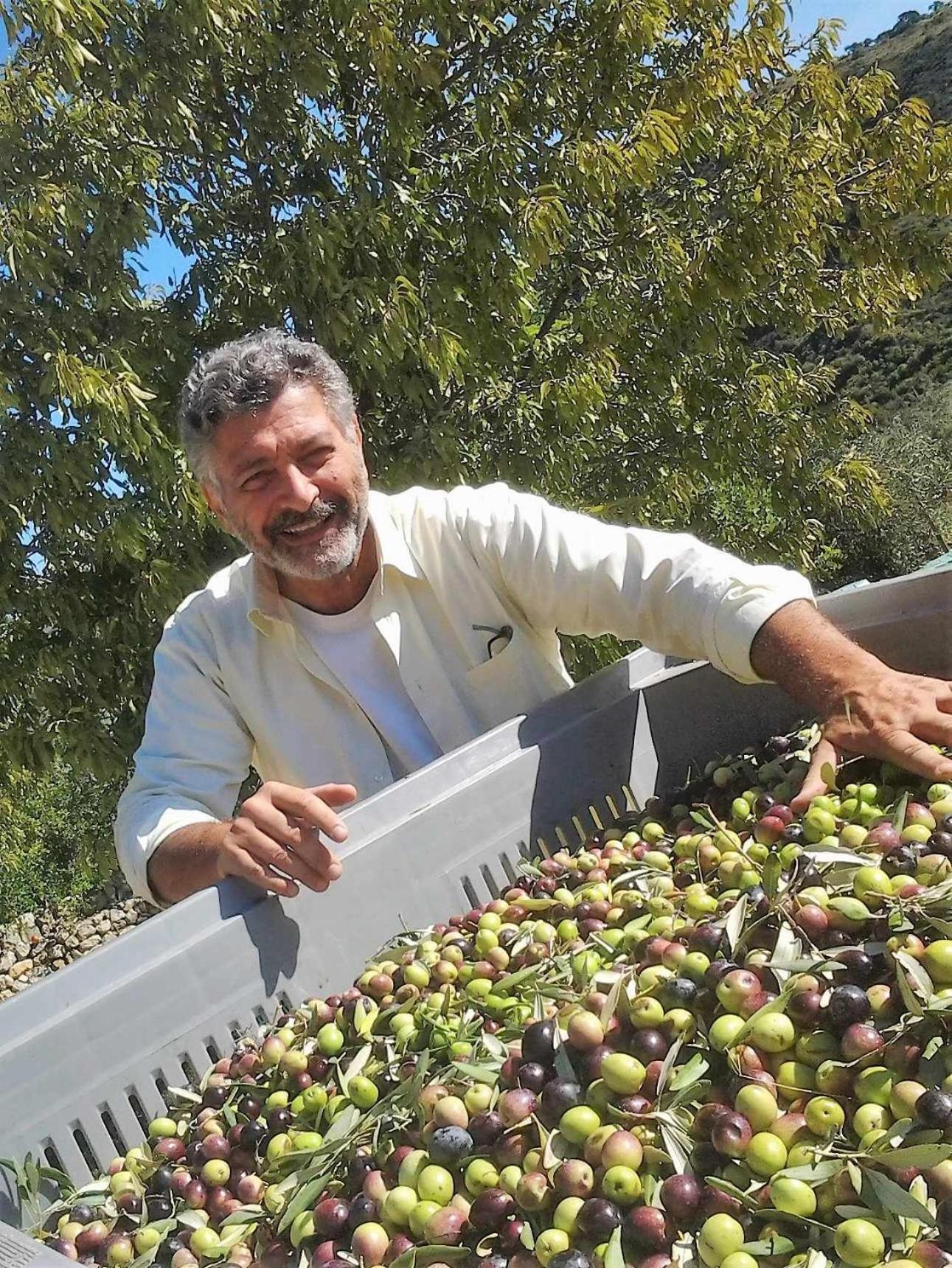 Tenuta Olive Alive نوتو المظهر الخارجي الصورة