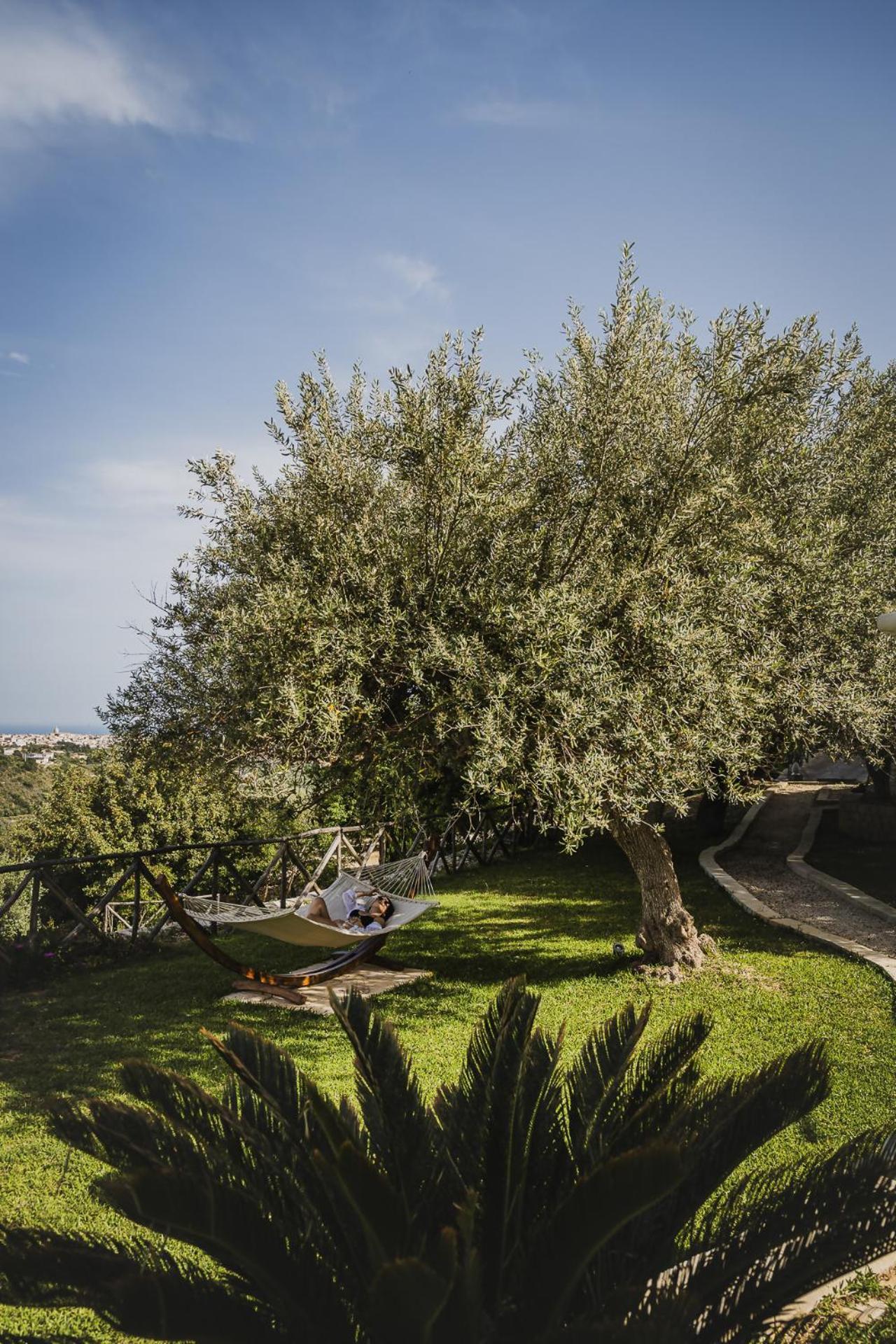Tenuta Olive Alive نوتو المظهر الخارجي الصورة